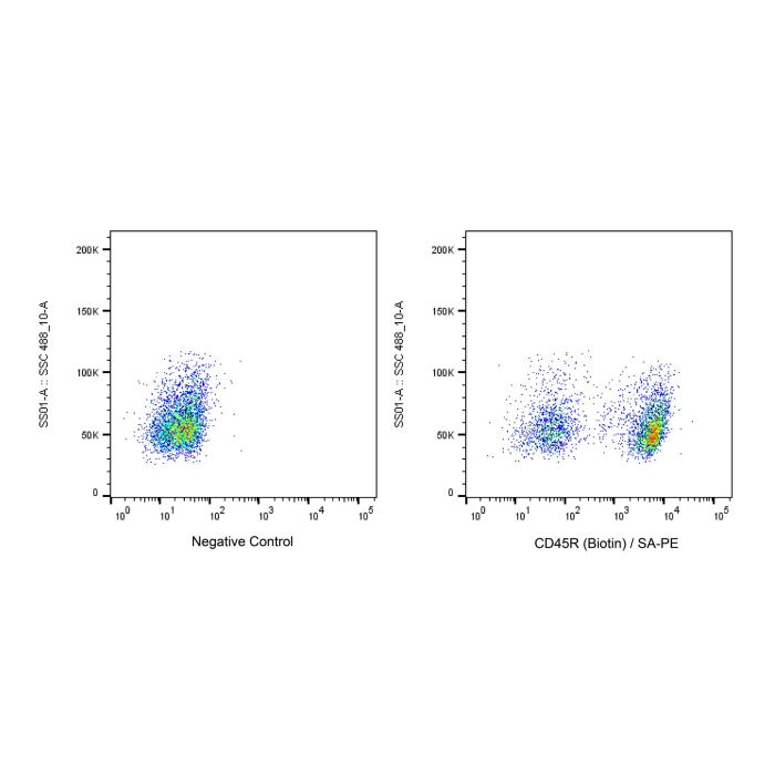 Recombinant Streptavidin Protein (R-PE) -    by Aladdin Scientific