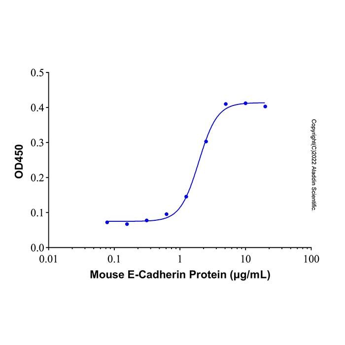 Recombinant Mouse E-Cadherin Protein -    by Aladdin Scientific