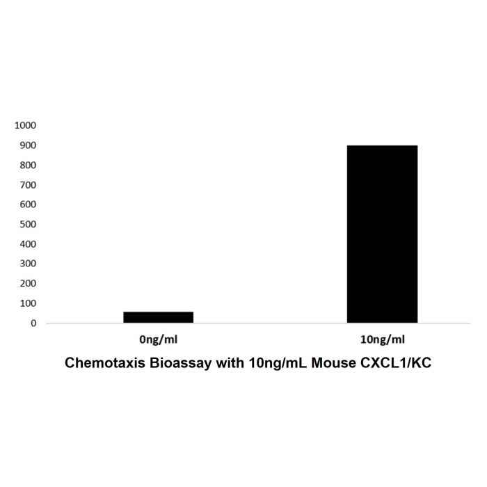 Recombinant Mouse CXCL1/KC Protein -    by Aladdin Scientific
