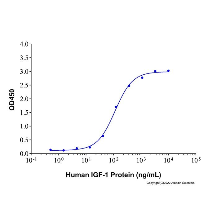 Recombinant Human IGFBP-2 Protein -    by Aladdin Scientific