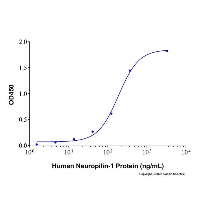 Recombinant Human Neuropilin-1 Protei -    by Aladdin Scientific