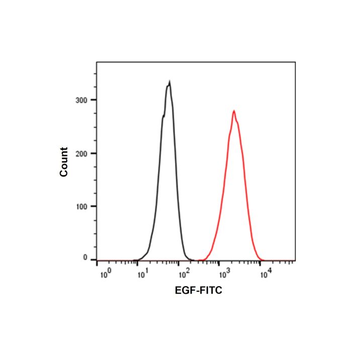 Recombinant Human EGF Protein (FITC) -    by Aladdin Scientific