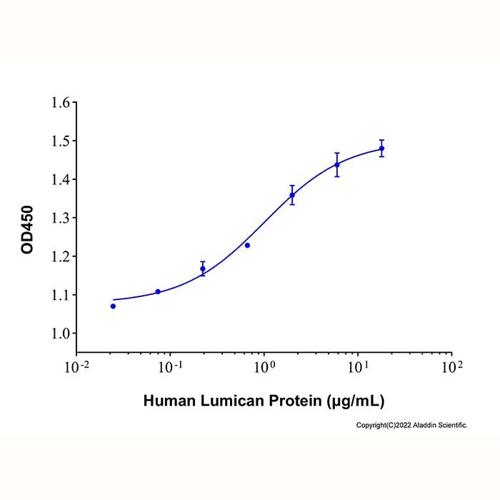 Recombinant Human Lumican Protein -    by Aladdin Scientific