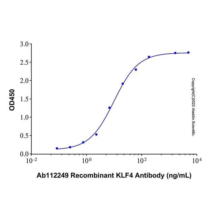 Recombinant Human KLF4 Protein -    by Aladdin Scientific
