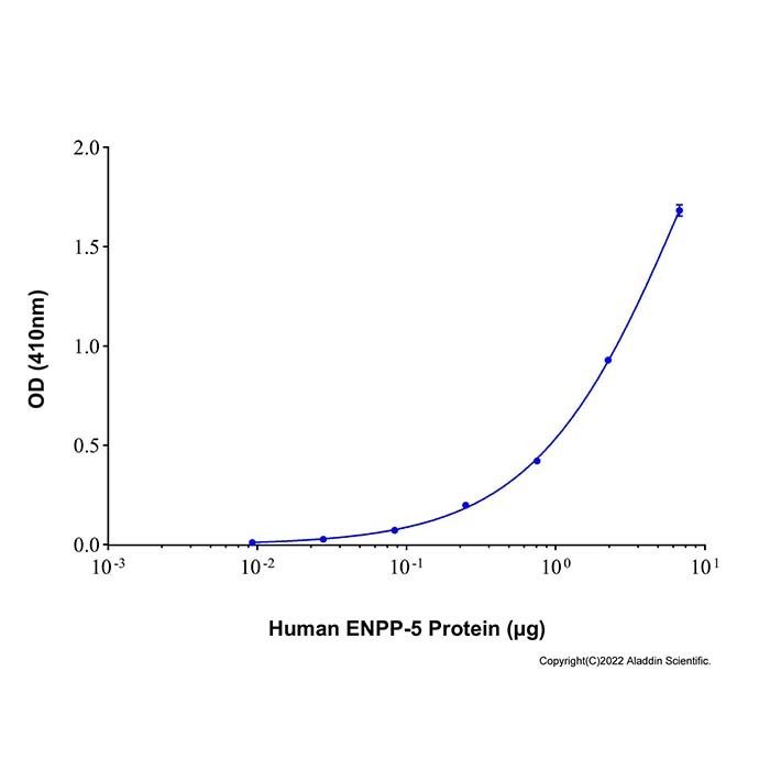 Recombinant Human ENPP-5 Protein -    by Aladdin Scientific