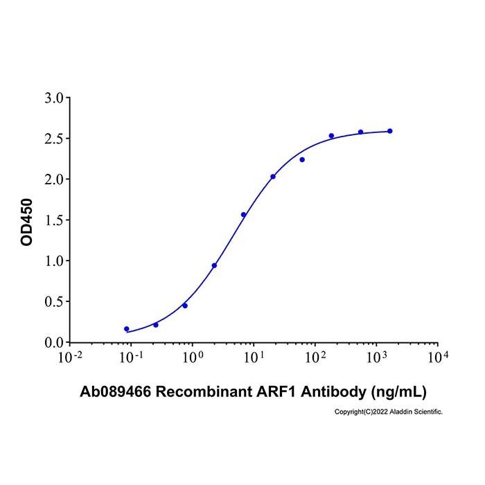 Recombinant Human ARF1 Protein -    by Aladdin Scientific