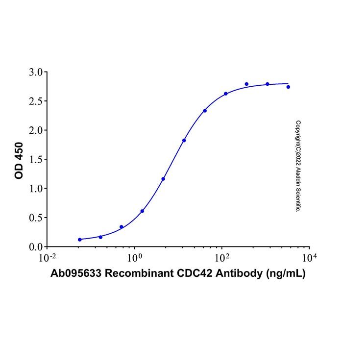 Recombinant Human CDC42 Protein -    rp188344 by Aladdin Scientific