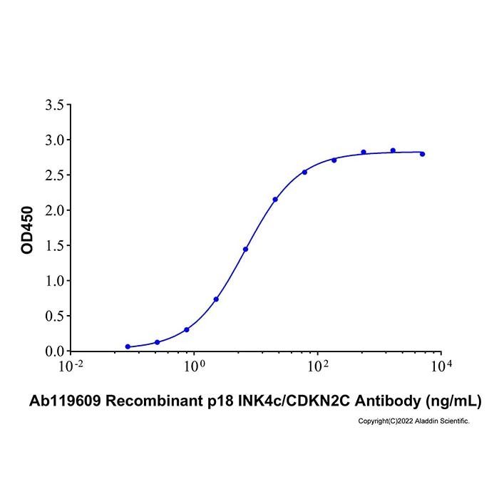 Recombinant Human p18 INK4c/CDKN2C Protein -    by Aladdin Scientific