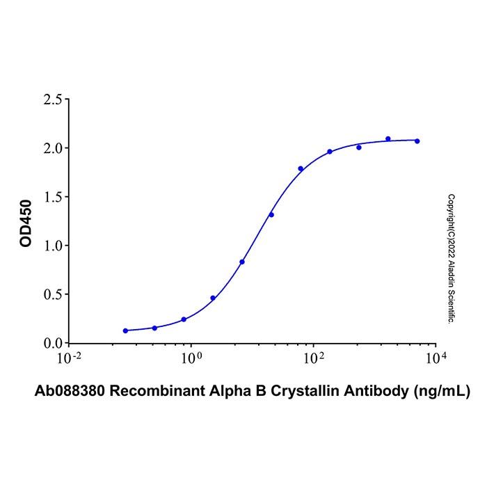 Recombinant Human Alpha B Crystallin/CRYAB Protein -    by Aladdin Scientific