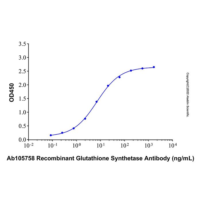 Recombinant Human Glutathione Synthetase Protein -    by Aladdin Scientific