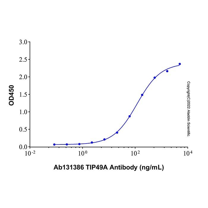 Recombinant Human RUVBL1 Protein -    by Aladdin Scientific