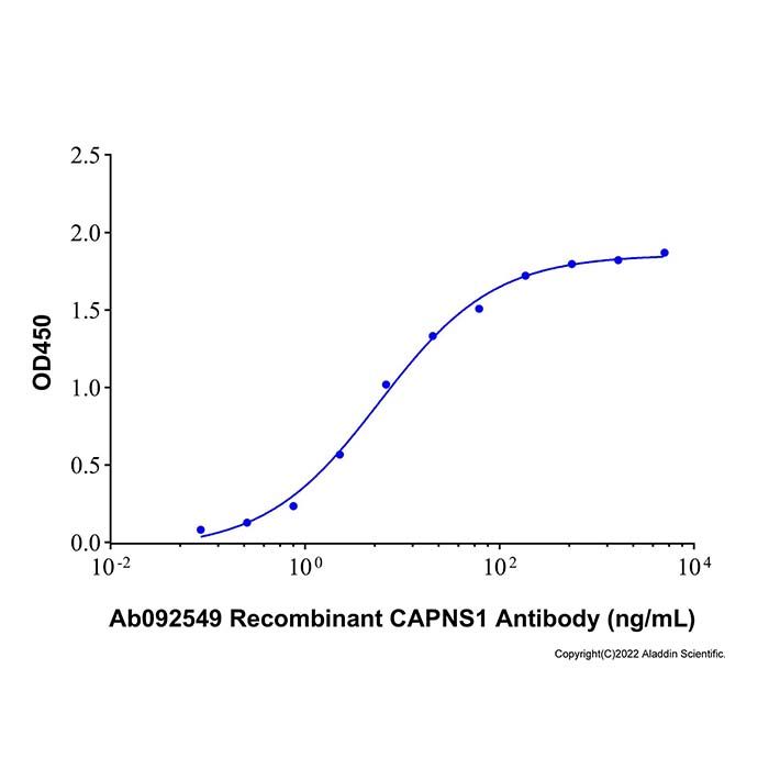 Recombinant Human CAPNS1 Protein -    by Aladdin Scientific