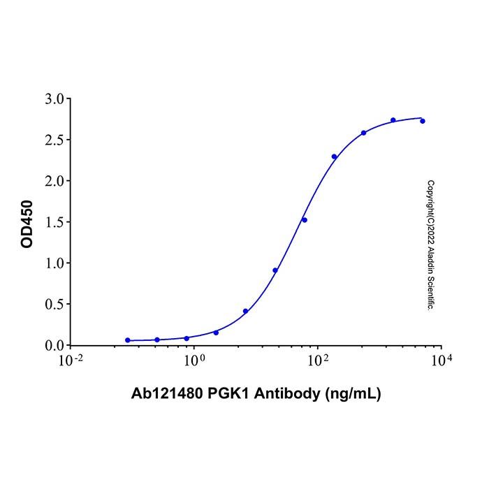 Recombinant Human PGK-1 Protein -    by Aladdin Scientific