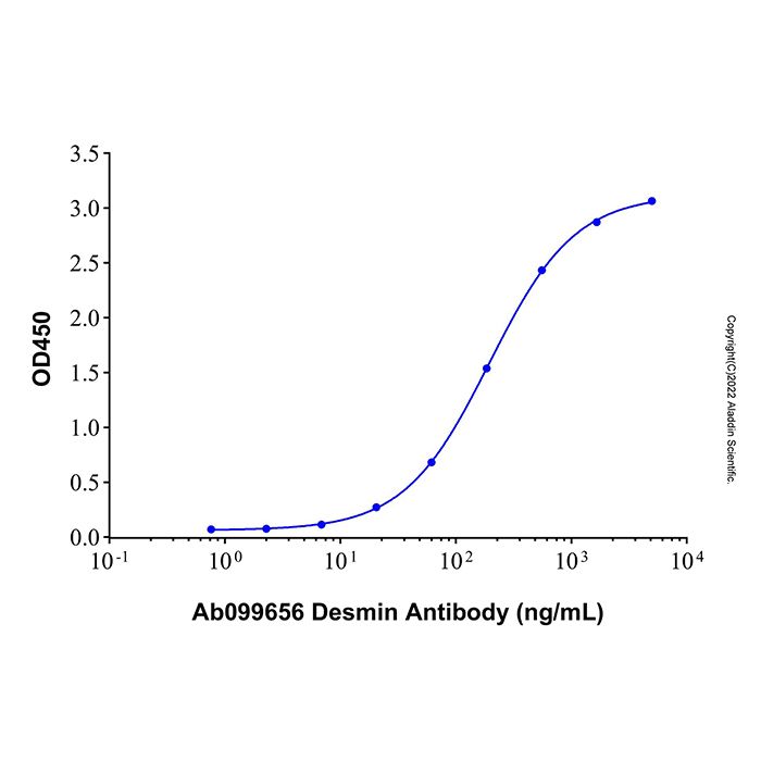 Recombinant Human Desmin Protein -    by Aladdin Scientific