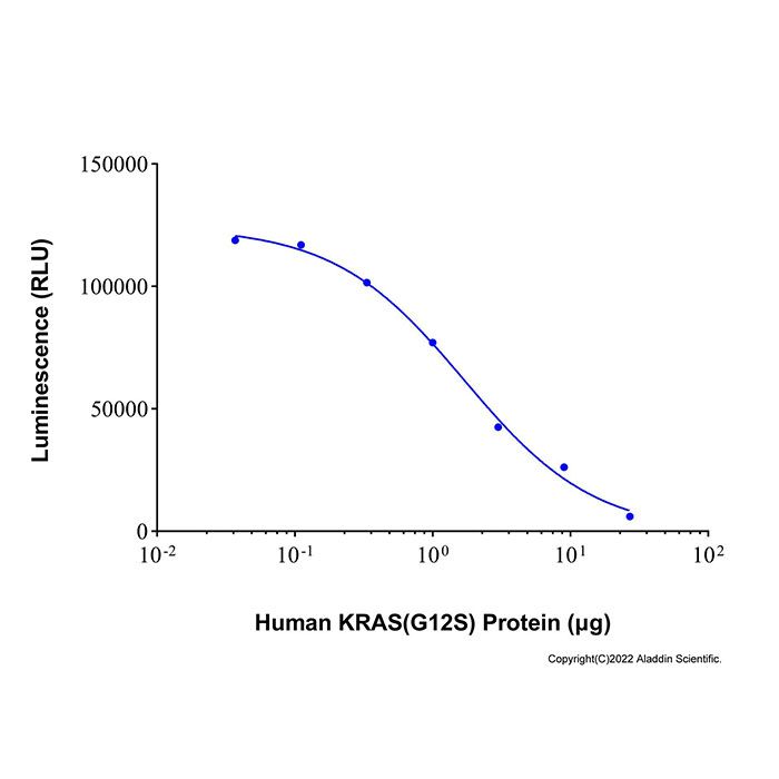 Recombinant Human KRAS (G12S) Protein -    by Aladdin Scientific