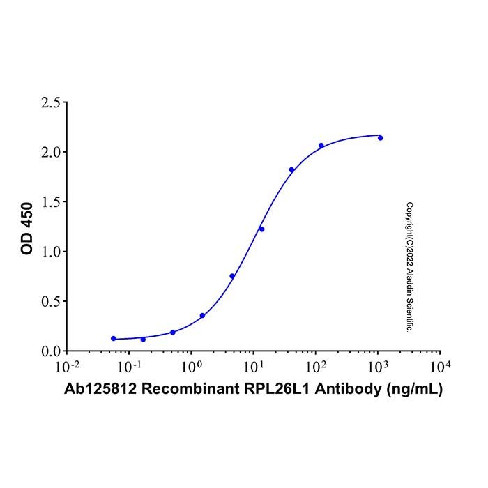 Recombinant Human RPL26L1 Protein -    by Aladdin Scientific