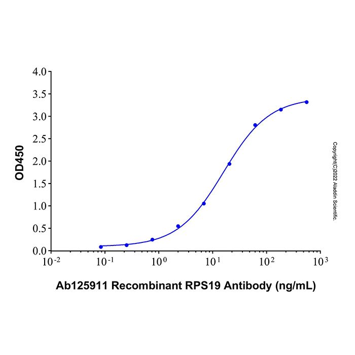 Recombinant Human RPS19 Protein -    by Aladdin Scientific