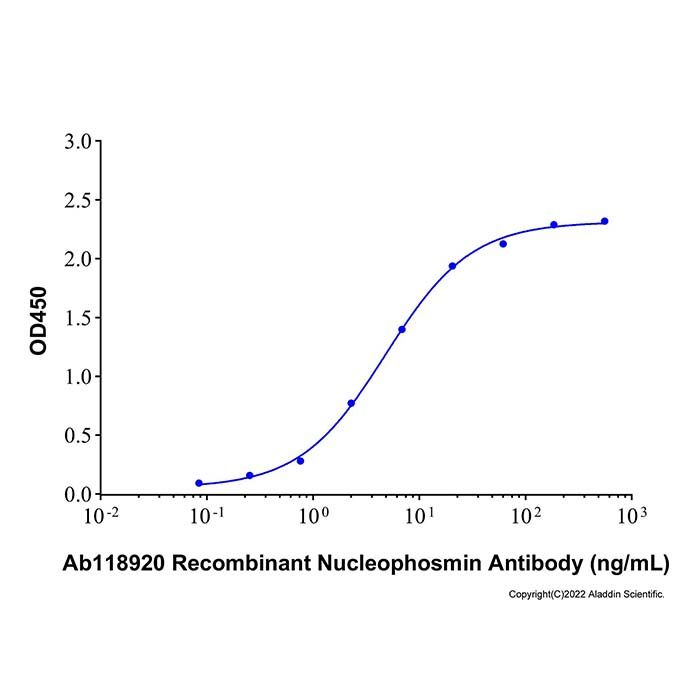 Recombinant Human Nucleophosmin/NPM1 Protein  -    by Aladdin Scientific
