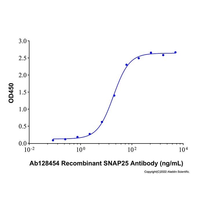 Recombinant Human SNAP25 Protein -    by Aladdin Scientific