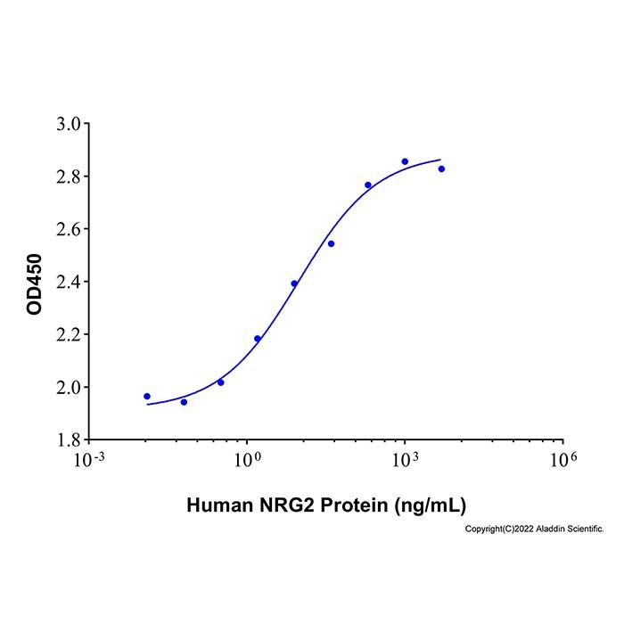 Recombinant Human Neuregulin-2/NRG2 Protein  -    by Aladdin Scientific