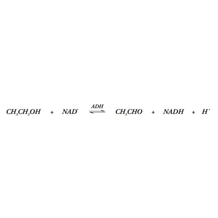 Recombinant Alcohol Dehydrogenase (ADH) -   CAS No(9031-72-5) by Aladdin Scientific