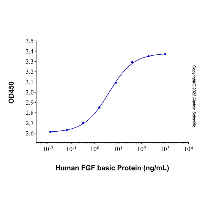 Recombinant Human FGF basic Protein -    rp228941 by Aladdin Scientific