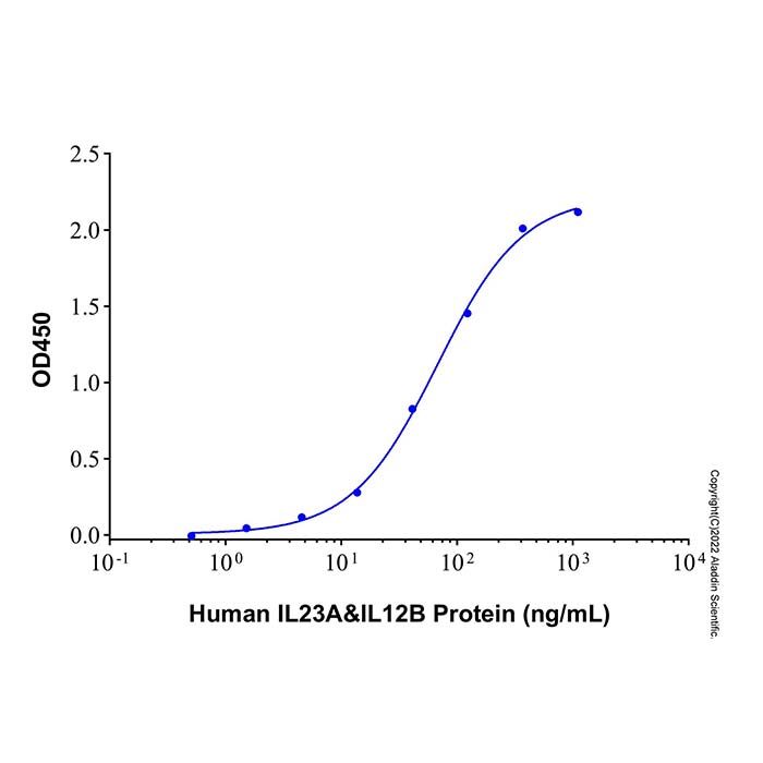 Recombinant Human IL-23 Protein -    rp229094 by Aladdin Scientific