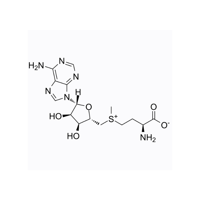 S-Adenosyl-L-methionine - Moligand™, 10mM in DMSO CAS No(29908-03-0) by Aladdin Scientific