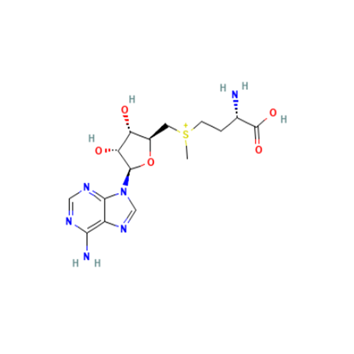 S-adenosylmethionine - 32mM±2mM CAS No(485-80-3) by Aladdin Scientific
