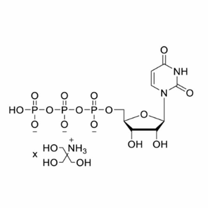 UTP (100mM, Tris Buffered) - BioReagent, DNase, RNase free, PCR Reagent, Suitable for molecular biology, sterile, For In Vitro Transcription, for DNA and RNA applications, ≥99%, 100mM CAS No(U759858) by Aladdin Scientific