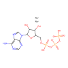 Adenosine 5ʹ-Triphosphate, Disodium Salt (ATP)