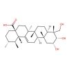 2Alpha,3Alpha,23-Trihydroxyurs-12-En-28-Oic Acid