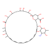 Amphotericin B