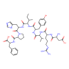 Angiotensin Ⅱ, human