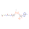 Acetyl coenzyme A lithium salt