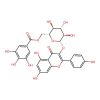 Astragalin 6''-gallate