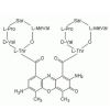 7-Aminoactinomycin D