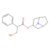 Atropine, Muscarinic acetylcholine receptor M2 antagonist