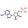 5'-Adenylic Acid - ≥98.0%(HPLC), used for , CAS No. 61-19-8, by Aladdin Scientific