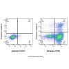 Annexin V-FITC/PI Apoptosis Detection Kit