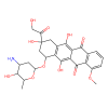 Adriamycin, Inhibitor of DNA topoisomerase II alpha