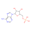 5'-Adenylic Acid - 95%, used for , CAS No. 61-19-8, by Aladdin Scientific