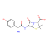 Amoxicillin