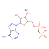 Adenosine 5'-(α,β-methylene)diphosphate sodium salt