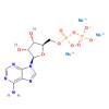 Adenosine 5′-diphposphate, trisodium salt
