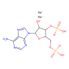 Adenosine 3′,5′-diphosphate disodium salt - ≥96%, used for , CAS No. 75431-54-8, by Aladdin Scientific