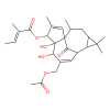 20-O-Acetylingenol-3-angelate