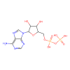 Adenosine 5′-diphosphate, Agonist of P2Y 11 receptor;Agonist of P2Y 12 receptor;Agonist of P2Y 13 receptor;Agonist of P2Y 1 receptor;Agonist of P2Y 6 receptor;Gating inhibitor of TRPM4