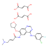 Afatinib dimaleate, Receptor protein-tyrosine kinase erbB-4 inhibitor