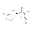 2'-Amino-2'-deoxyadenosine